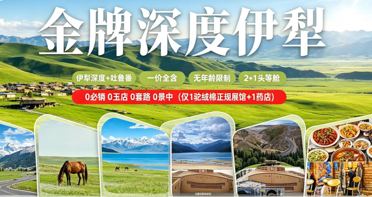 天马牧歌行·新疆伊犁+吐鲁番环线双飞8日游｜独库公路 + 赛里木湖 + 那拉提草原 + 巴音九曲 + 天池吐鲁番全景